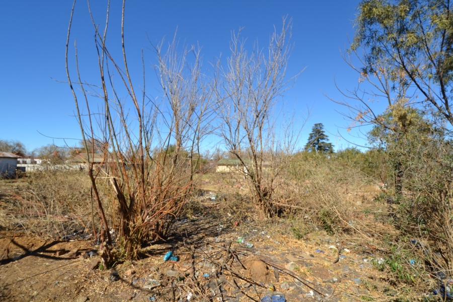 Commercial Property for Sale in Allanridge Free State